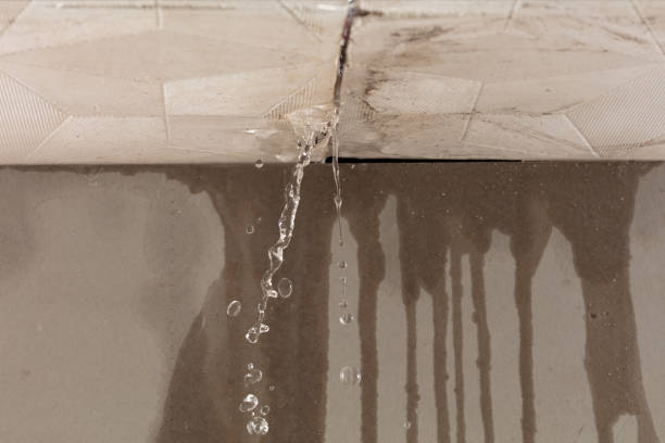 Professional Burst Pipe Cleanup technician working in Castroville, TX